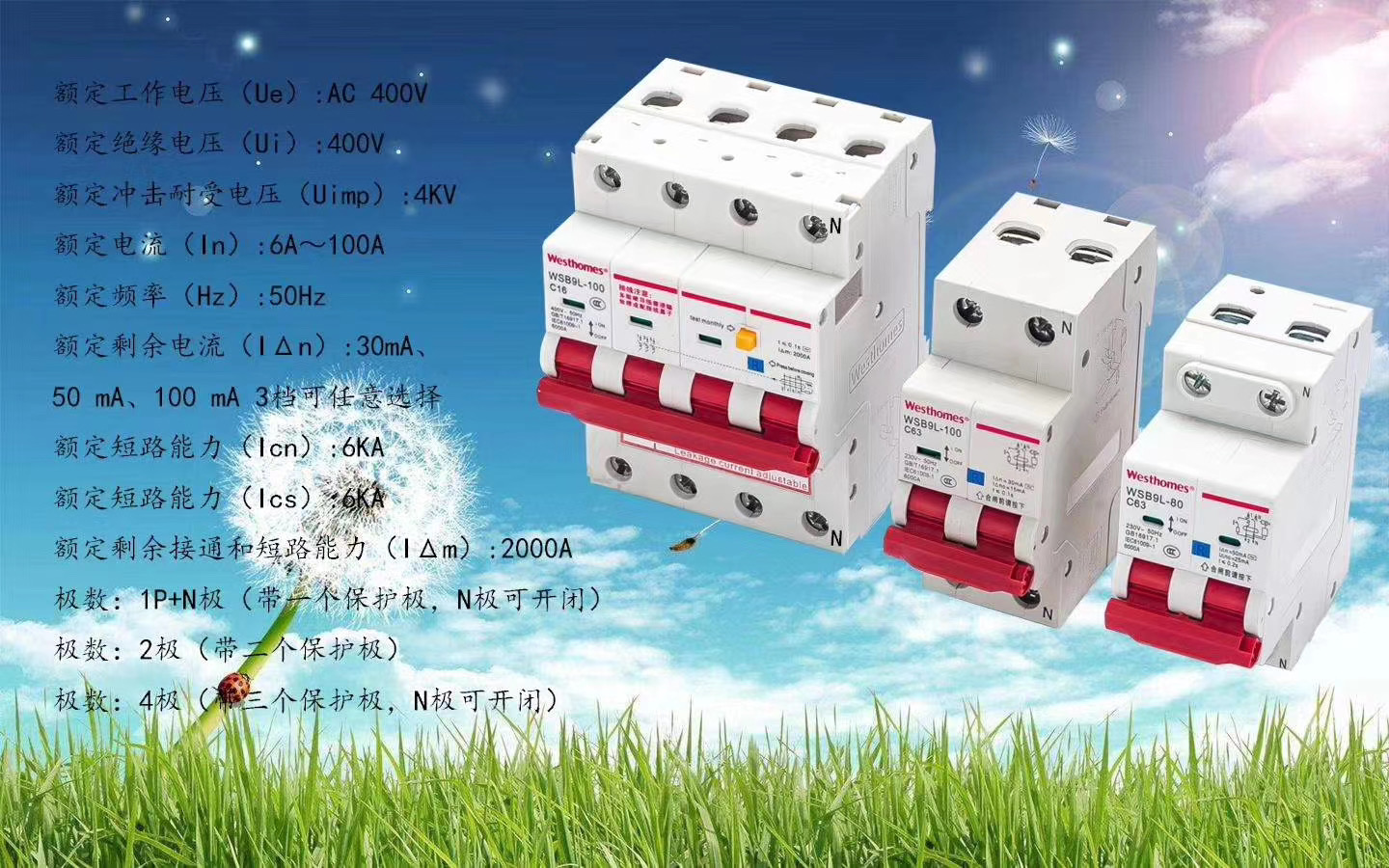 New Launch of Residual Current Protective Breaker (Earth Leakage Circuit Breaker)(图1)